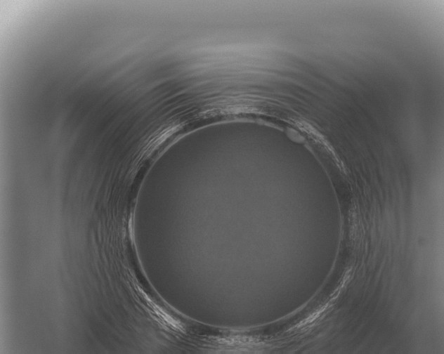 X0000059840785200510281823