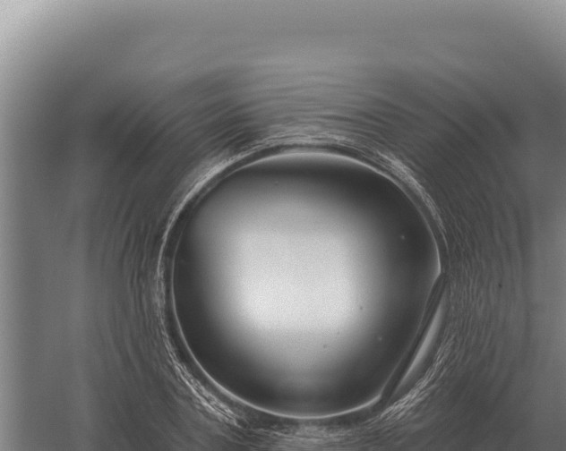 X0000059840787200510281823