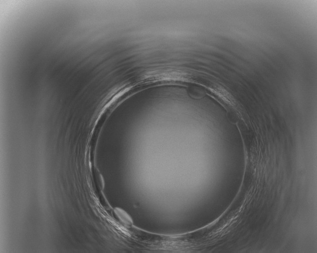 X0000059840790200510281823