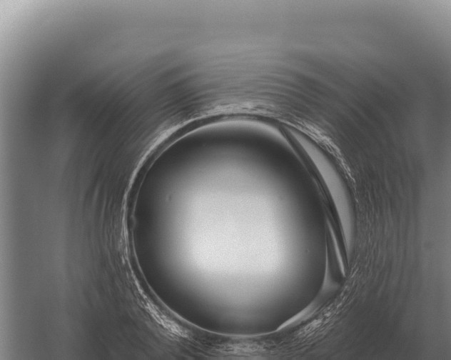 X0000059840792200510281823