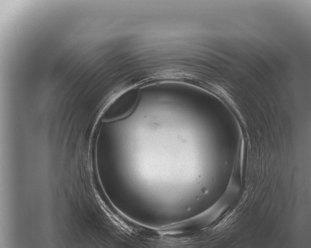 X0000059840795200510281823