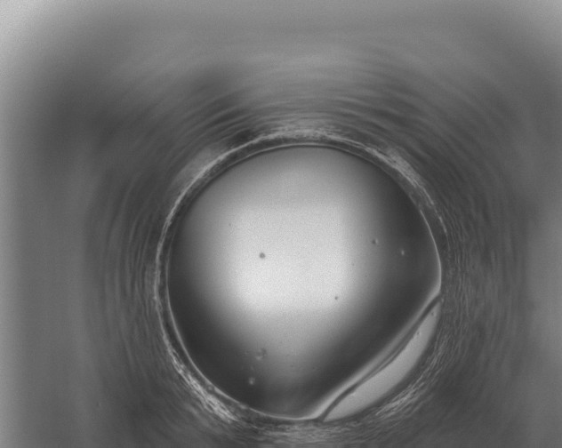 X0000059840799200510281823