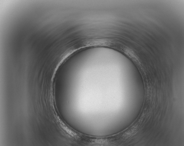 X0000059840800200510281823