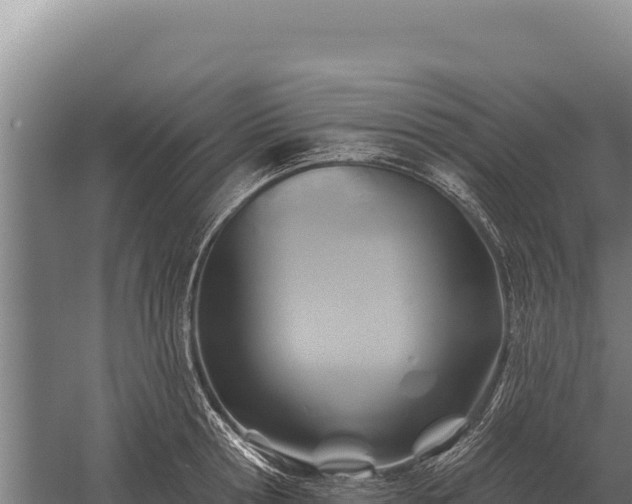 X0000059840802200510281823