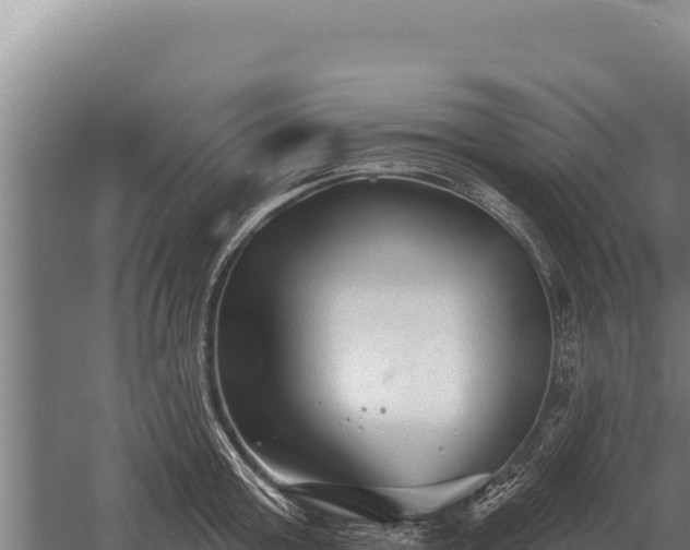 X0000059840803200510281823