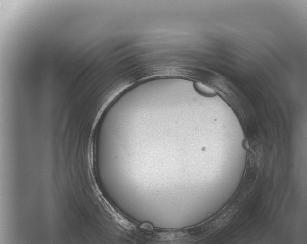 X0000059840804200510281823