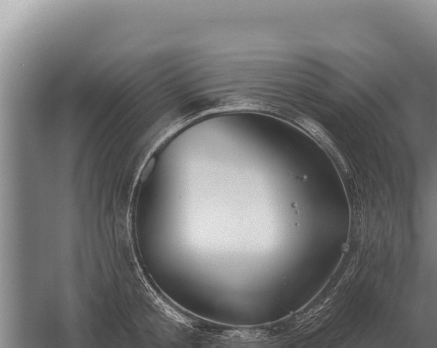 X0000059840805200510281823