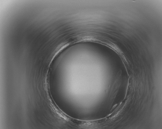 X0000059840806200510281823