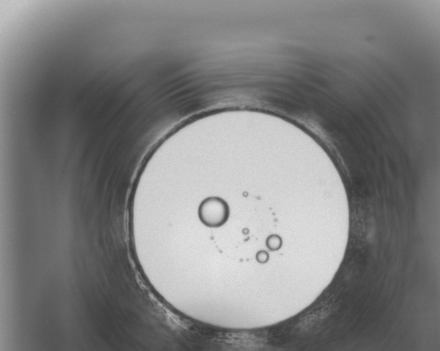 X0000059840807200510281823