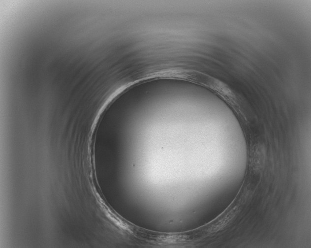 X0000059840808200510281823