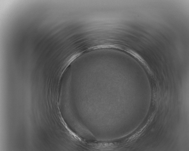 X0000059840809200510281823