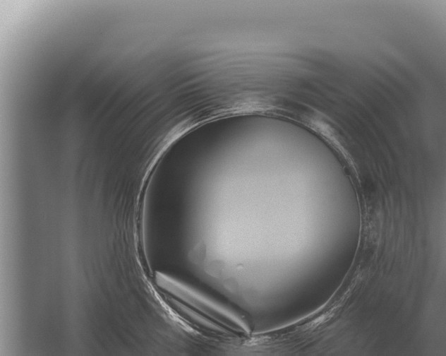 X0000059840810200510281823