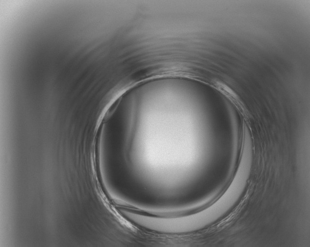 X0000059840812200510281823