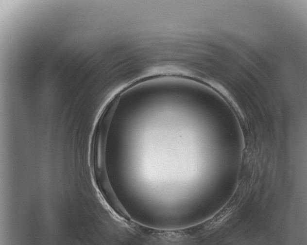 X0000059840815200510281823