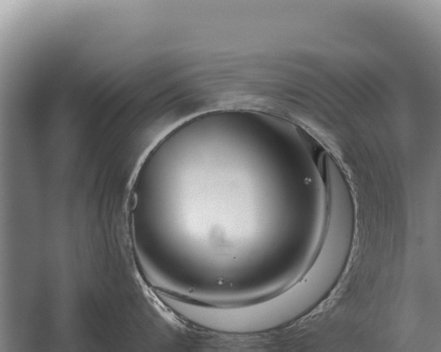 X0000059840816200510281822