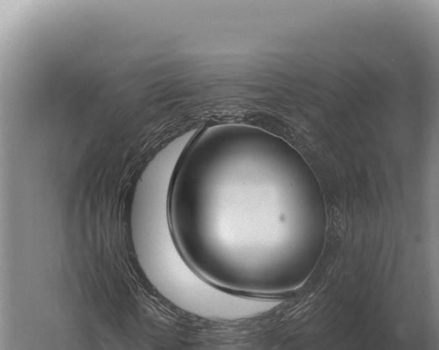 X0000059840818200510281822