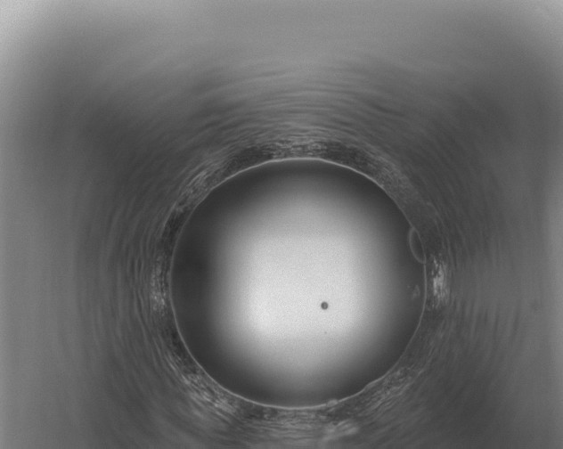 X0000059840819200510281822