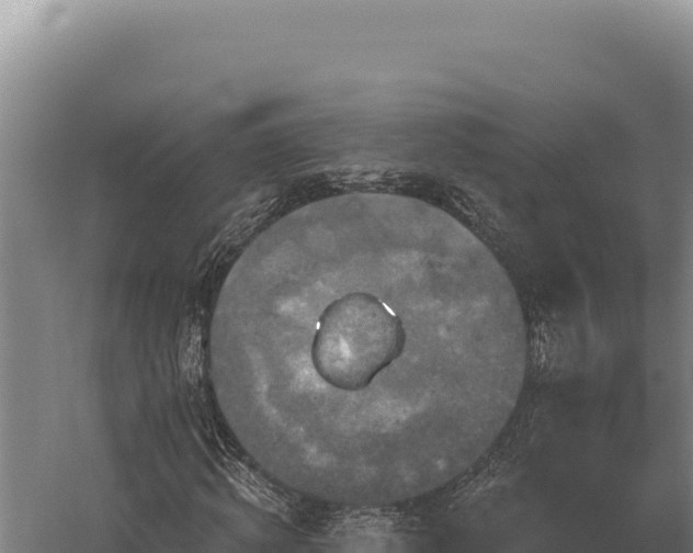 X0000059840820200510281822