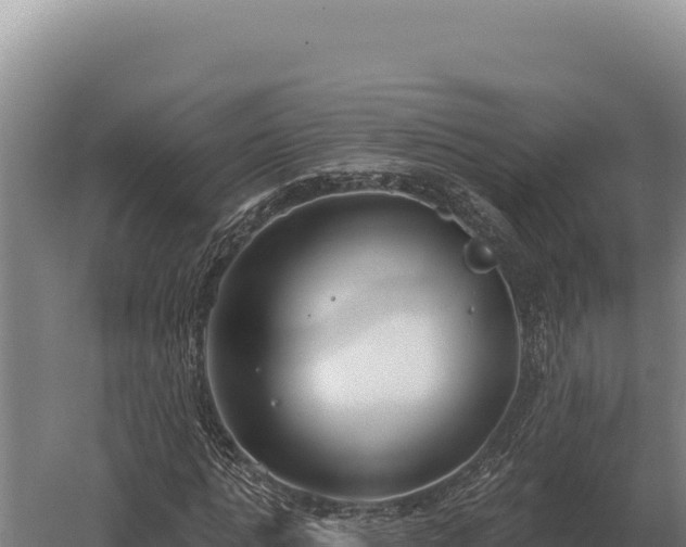 X0000059840821200510281822