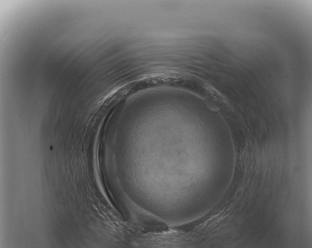 X0000059840822200510281822