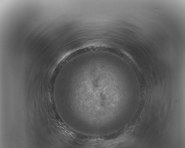 X0000059840823200510281822