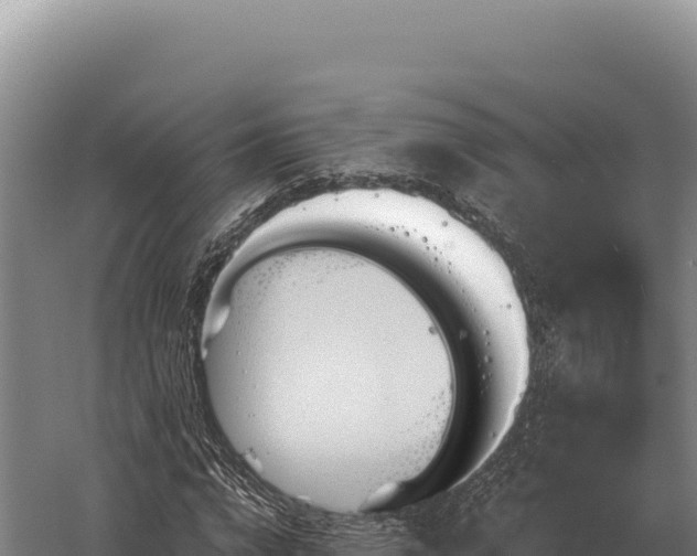 X0000059840824200510281822