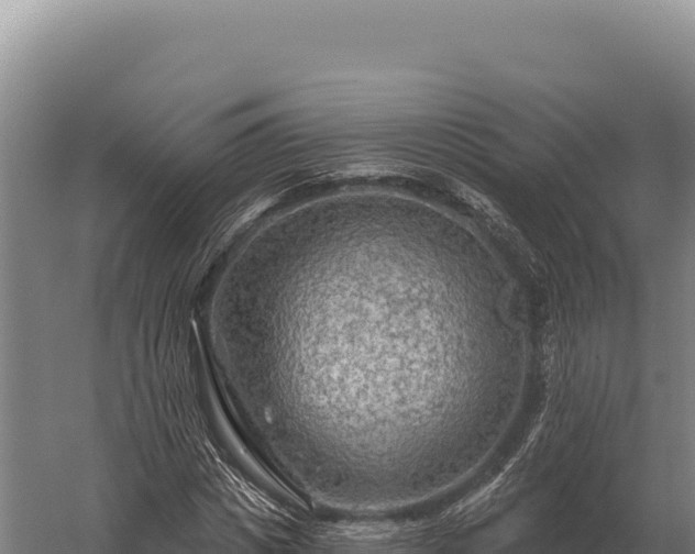 X0000059840825200510281822