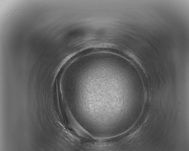 X0000059840829200510281822