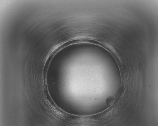 X0000059840831200510281822