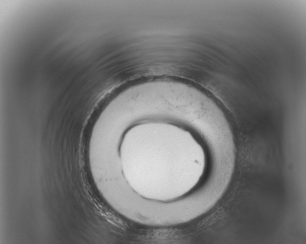 X0000059840832200510281822