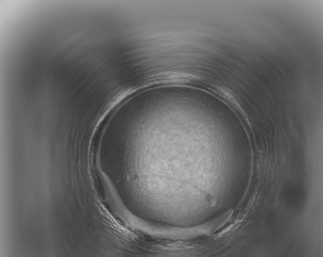 X0000059840835200510281822