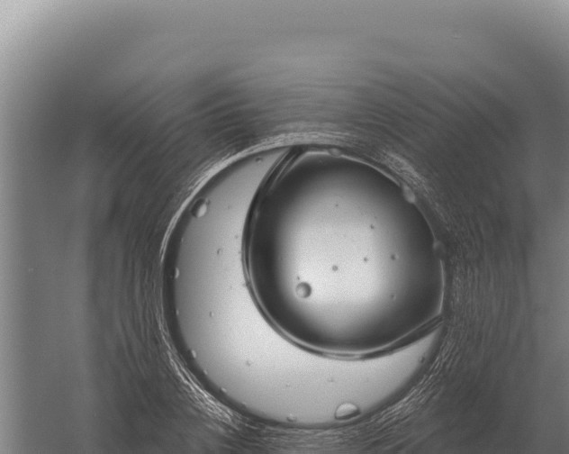 X0000059840836200510281822