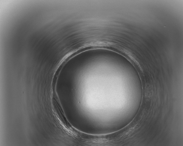 X0000059840837200510281822