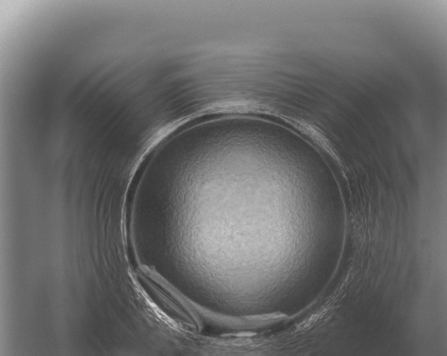 X0000059840839200510281822