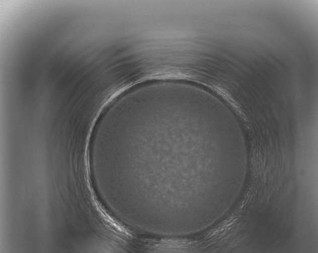 X0000059840840200510281822