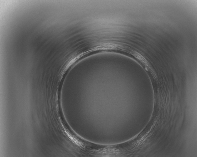 X0000059840842200510281822