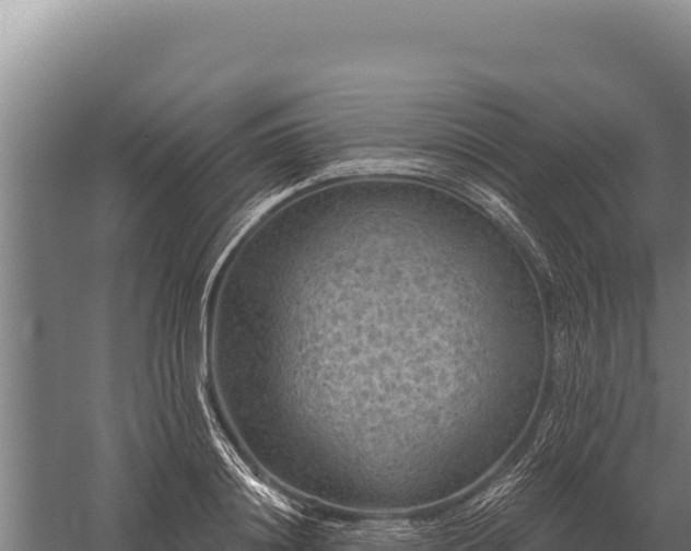 X0000059840844200510281822