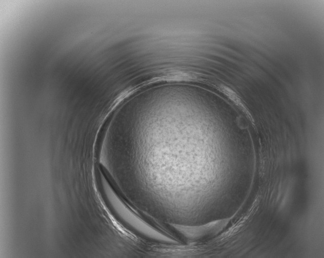 X0000059840845200510281822