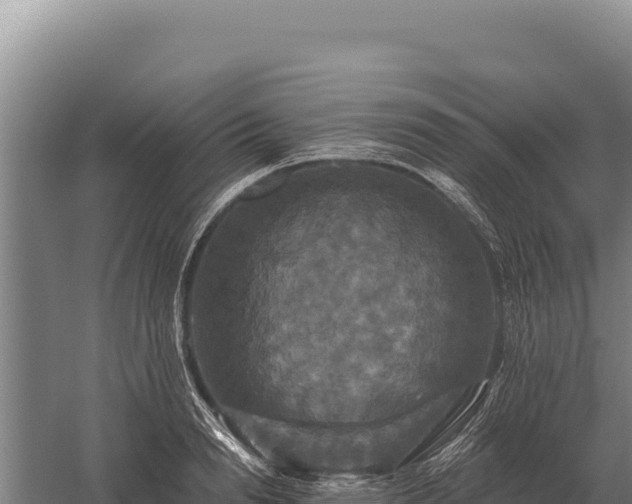 X0000059840846200510281822