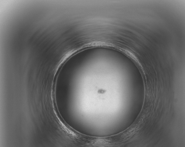 X0000059840847200510281822