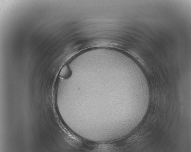 X0000059840848200510281822