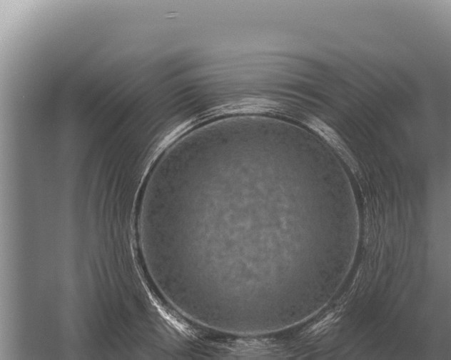 X0000059840850200510281822