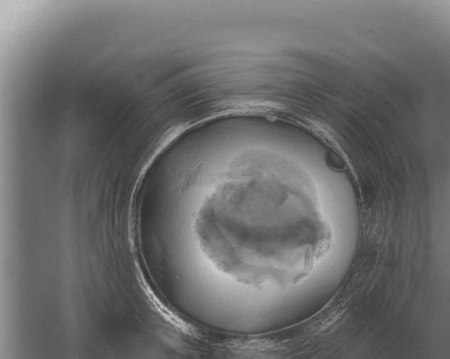 X0000059840851200510281822