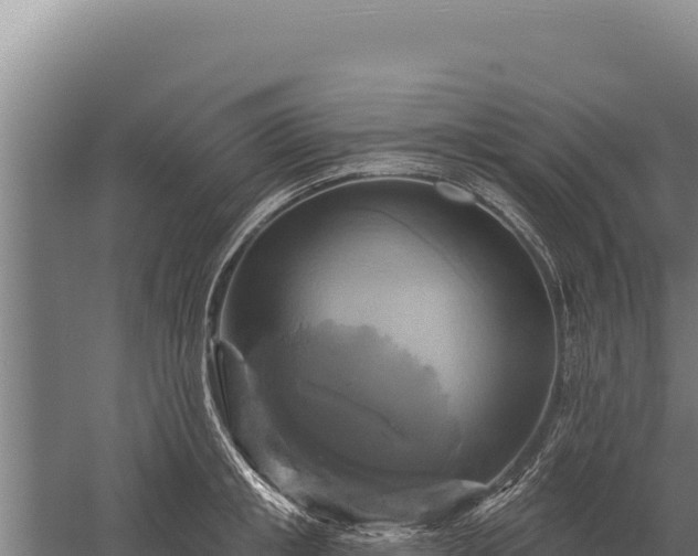 X0000059840853200510281822