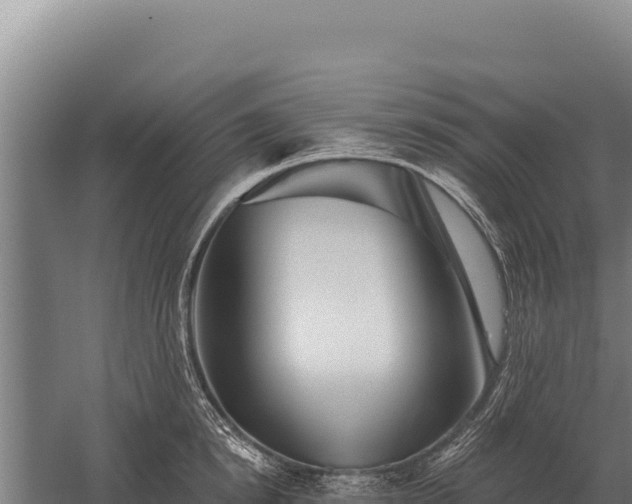 X0000059840854200510281822