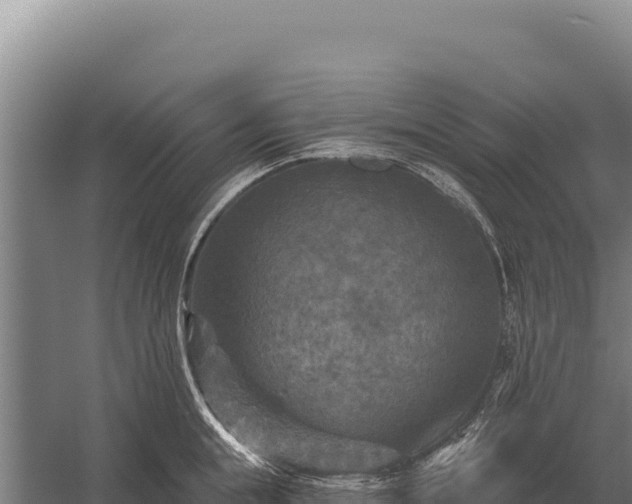 X0000059840855200510281822