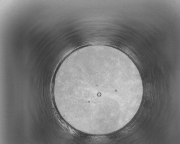 X0000059840856200510281822