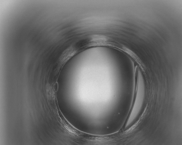 X0000059840857200510281822