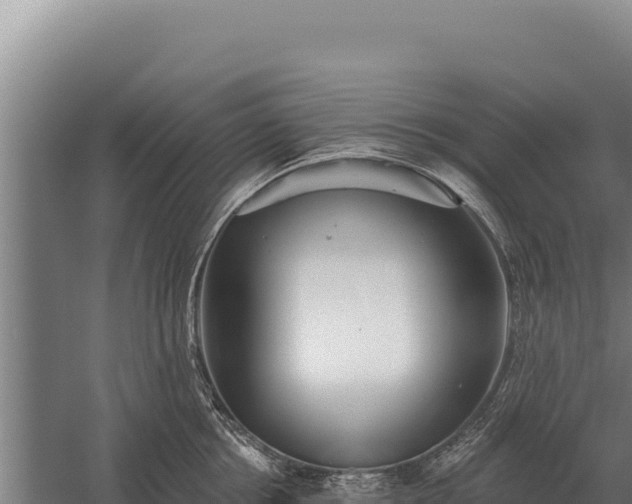 X0000059840858200510281822