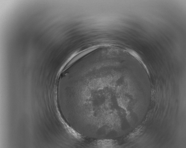 X0000059840859200510281822